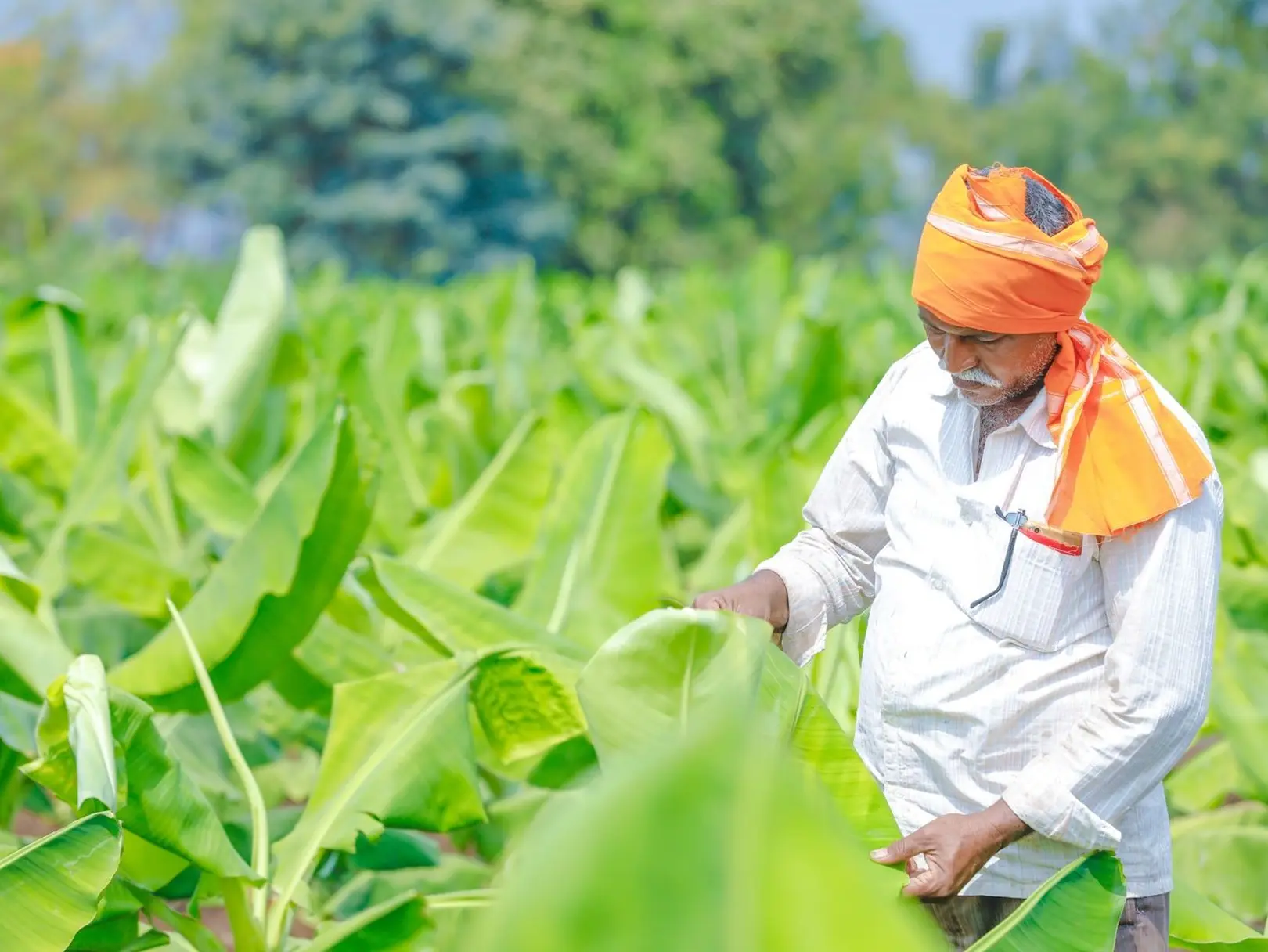 Farmers & Farmer Producer Organizations
